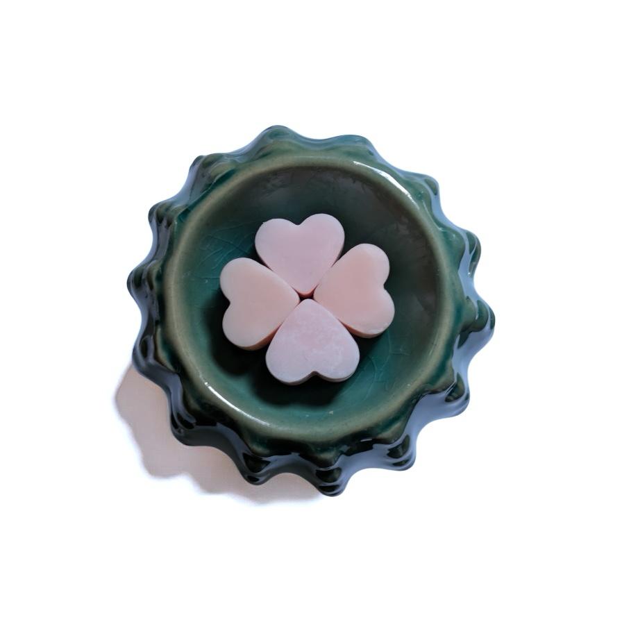 Mini cactus geurbrander