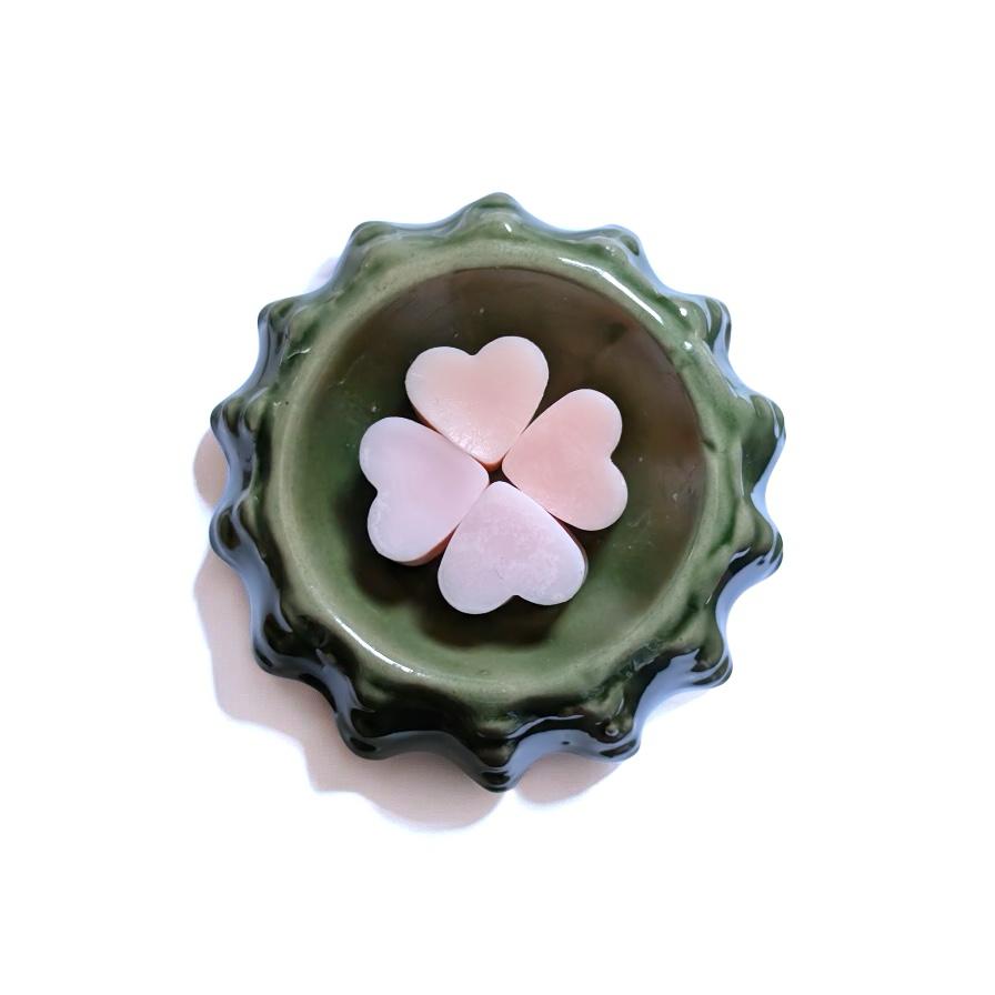 Mini cactus geurbrander